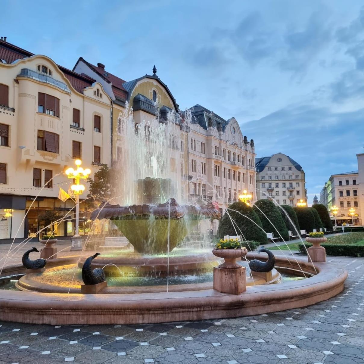 Casa Max Apartment Timisoara Exterior photo